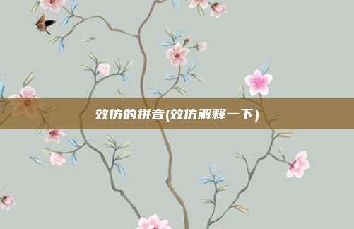 效仿的拼音(效仿解释一下)