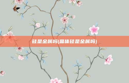 硅是金属吗(晶体硅是金属吗)