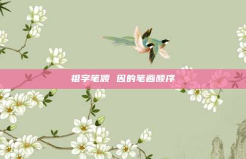 祖字笔顺 因的笔画顺序