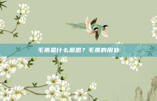毛票是什么意思？毛票的用处