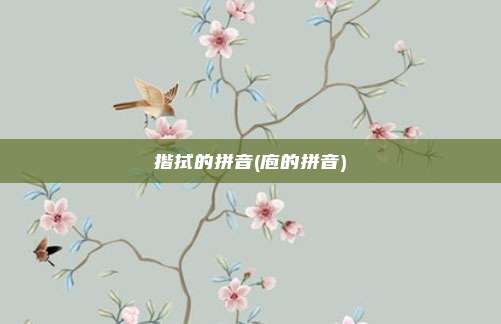 揩拭的拼音(庖的拼音)