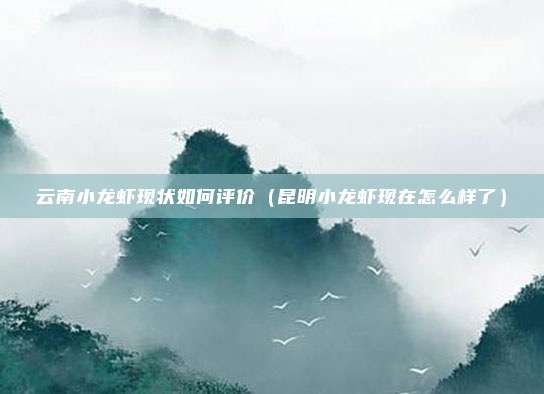 云南小龙虾现状如何评价(昆明小龙虾现在怎么样了)