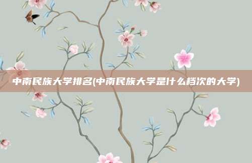 中南民族大学排名(中南民族大学是什么档次的大学)