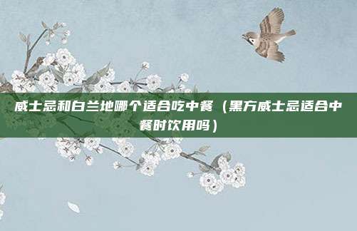 威士忌和白兰地哪个适合吃中餐(黑方威士忌适合中餐时饮用吗)
