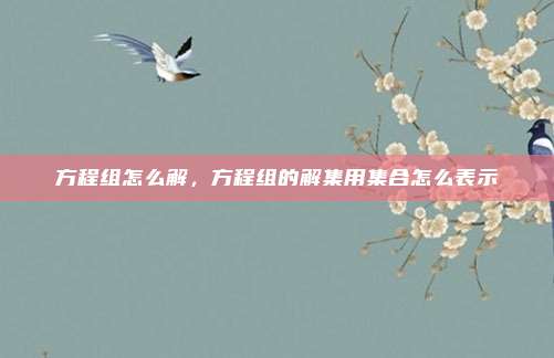 方程组怎么解，方程组的解集用集合怎么表示
