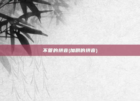 不管的拼音(加剧的拼音)