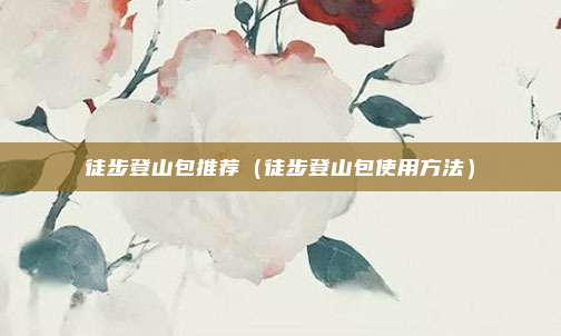 徒步登山包推荐（徒步登山包使用方法）