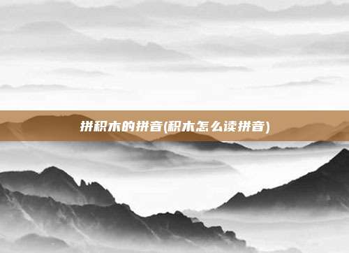 拼积木的拼音(积木怎么读拼音)