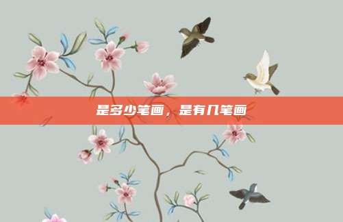 是多少笔画,是有几笔画