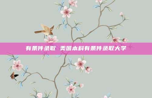 有条件录取 美国本科有条件录取大学