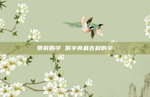 带辰的字 辰字旁最吉利的字