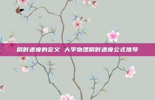 瞬时速度的定义 大学物理瞬时速度公式推导