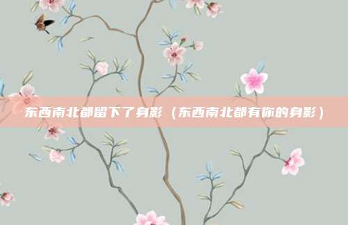 东西南北都留下了身影（东西南北都有你的身影）