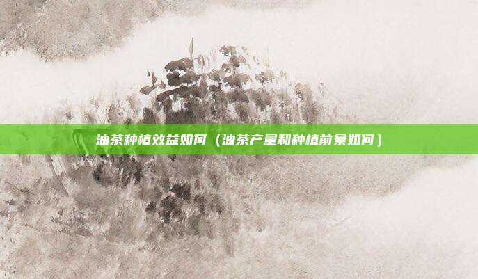 油茶种植效益如何（油茶产量和种植前景如何）
