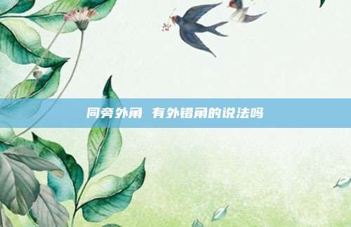 同旁外角 有外错角的说法吗