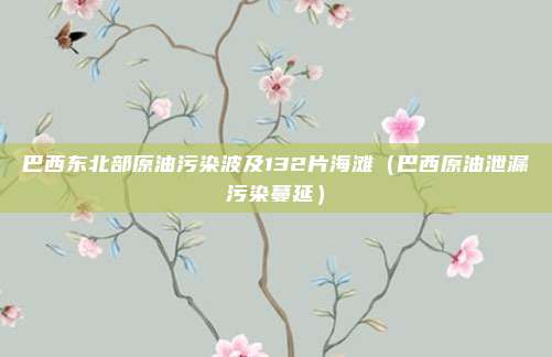 巴西东北部原油污染波及132片海滩（巴西原油泄漏污染蔓延）