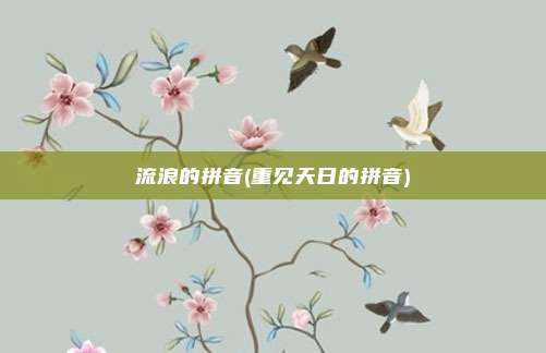 流浪的拼音(重见天日的拼音)