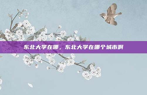 东北大学在哪，东北大学在哪个城市啊
