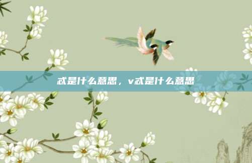忒是什么意思，v忒是什么意思