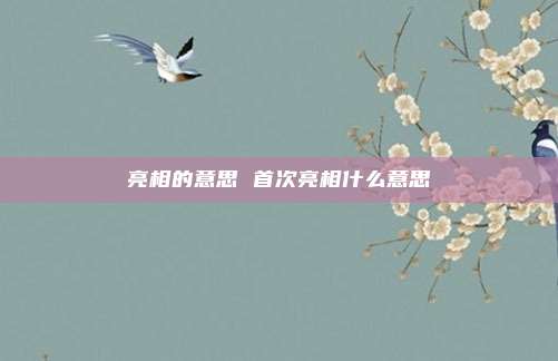 亮相的意思 首次亮相什么意思
