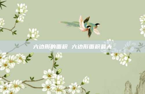 六边形的面积 六边形面积最大