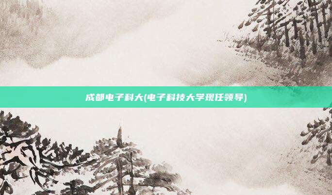 成都电子科大(电子科技大学现任领导)