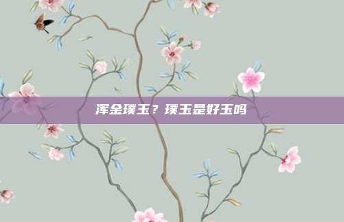 浑金璞玉？璞玉是好玉吗