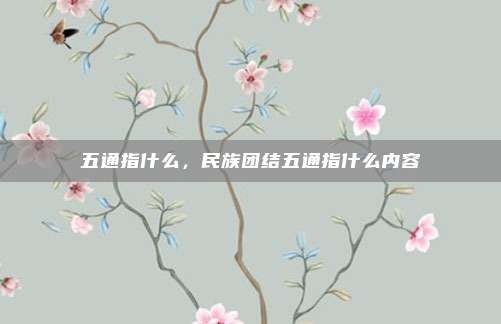 五通指什么，民族团结五通指什么内容