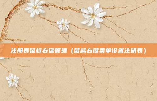 注册表鼠标右键管理(鼠标右键菜单设置注册表)
