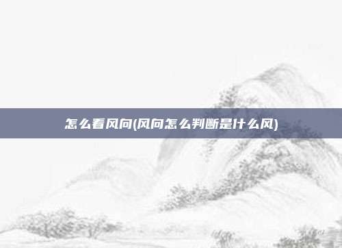怎么看风向(风向怎么判断是什么风)