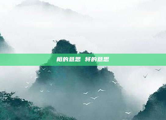 相的意思 将的意思