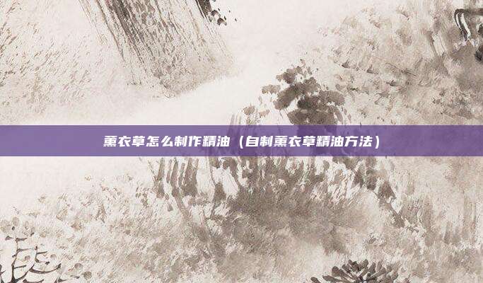 薰衣草怎么制作精油(自制薰衣草精油方法)
