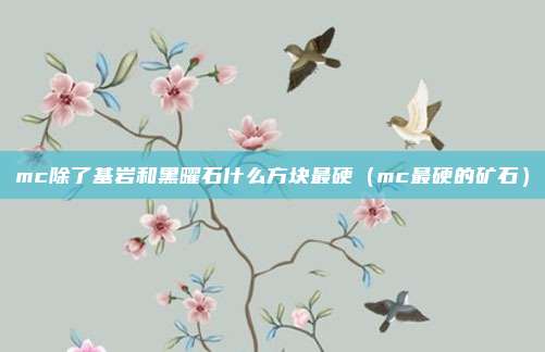 mc除了基岩和黑曜石什么方块最硬（mc最硬的矿石）