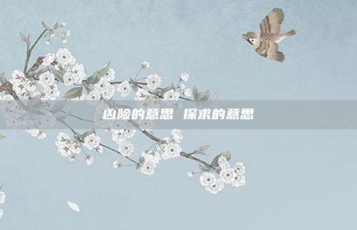 凶险的意思 探求的意思