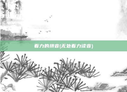 着力的拼音(无处着力读音)