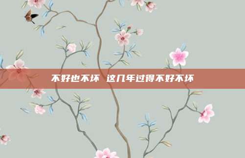 不好也不坏 这几年过得不好不坏