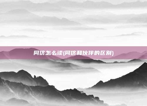 同侪怎么读(同侪和伙伴的区别)