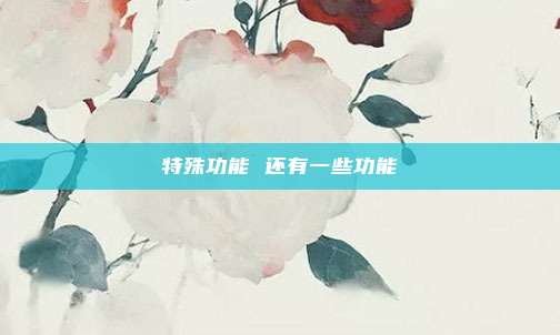 特殊功能 还有一些功能