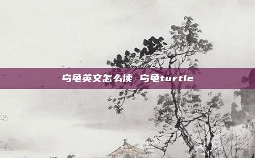 乌龟英文怎么读 乌龟turtle