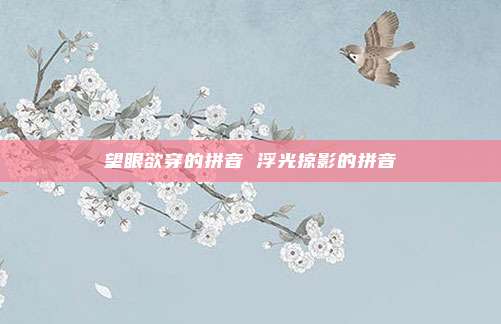 望眼欲穿的拼音 浮光掠影的拼音