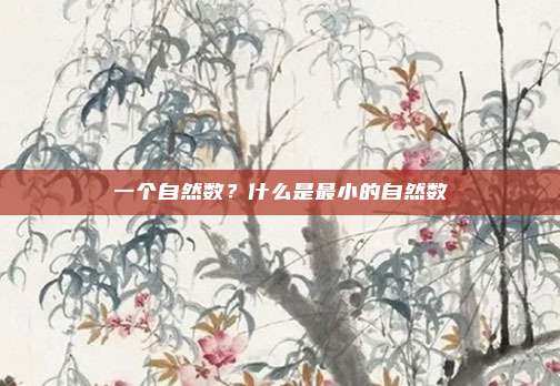 一个自然数？什么是最小的自然数