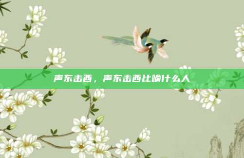 声东击西，声东击西比喻什么人