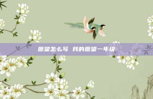愿望怎么写 我的愿望一年级