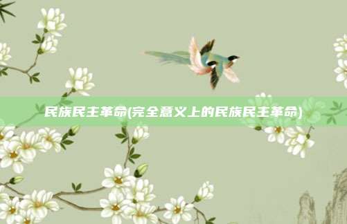 民族民主革命(完全意义上的民族民主革命)
