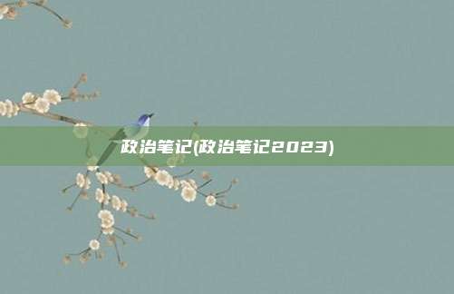 政治笔记(政治笔记2023)