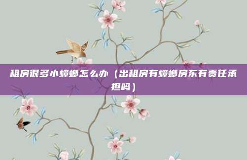 租房很多小蟑螂怎么办（出租房有蟑螂房东有责任承担吗）