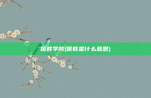 国教学院(国教是什么意思)