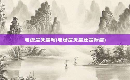 电流是矢量吗(电场是矢量还是标量)