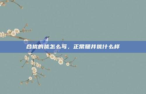 合拢的拢怎么写，正常腿并拢什么样