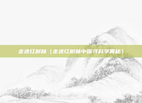 走进红树林(走进红树林中探寻科学奥秘)